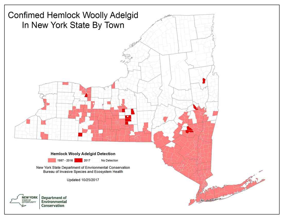 Map of confirmed hemlock woolly adelgid sites